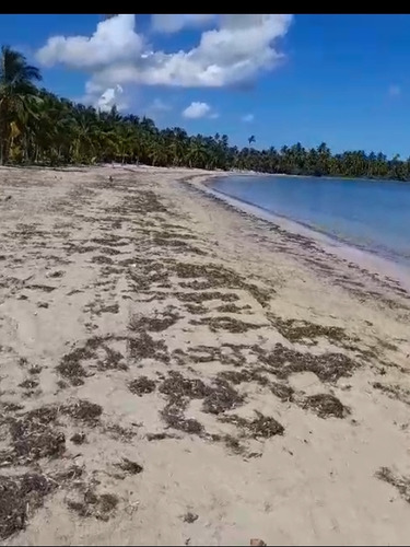 Playa El Limón Las Terrenas De Samana Rd