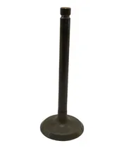 Comprar Valvula Admissão Kia Besta Gs 42 Mm  Original Kia      13h1