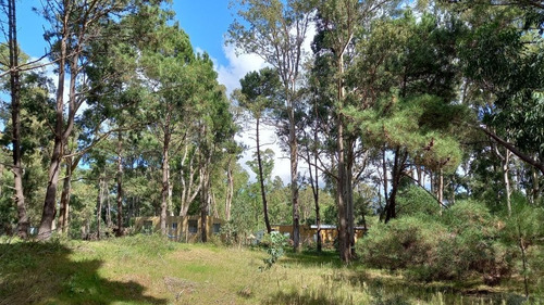 Imagen 8 de 17 de Lote En Venta En La Barra (ref: Atm-6651)