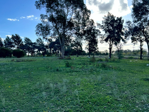 Imagen 7 de 17 de Atencion Inversor Amplia Parcela En Venta Sobre Ruta 20 Proxima A Las Lagunas De Chascomus Y Vitel
