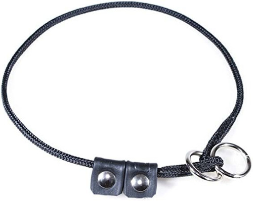 Collar De Contacto Con Stop. Adiestramiento Perro Julius K9