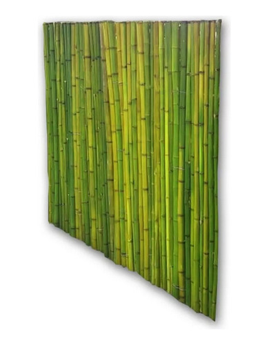 Panel De Caña De Bambu Tacuara 1mx1.20m Altua