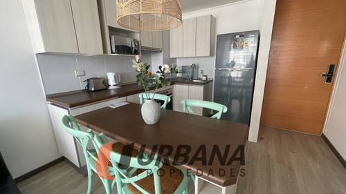 Pacifico 3100 Arriendo 2d2b Año Corrido Amoblado