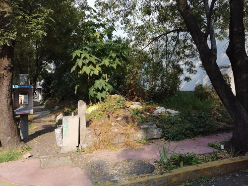 Imagen 6 de 7 de Terreno En Venta En Jardines De Coyoacan.