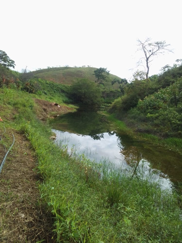 Imagen 2 de 17 de Finca En Venta Excelente Ubicación Miranda-carabobo