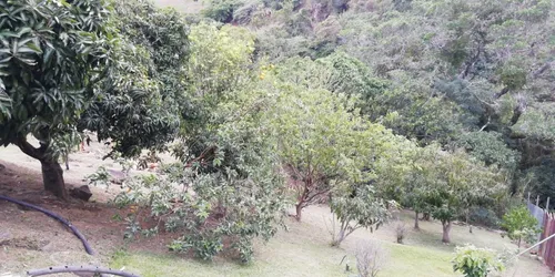 Finca Con 40 Metros A Orilla De La Via Principal Yumbo La Cumbre