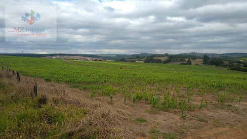Sítio À Venda Itapetininga - Tatuí/sp - 420