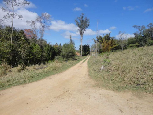 Imagem 10 de 30 de Fazenda De Café Em Monte Sião-mg - 7676