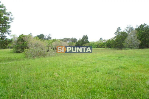Imagen 10 de 10 de Chacra A La Venta En Laguna Del Sauce