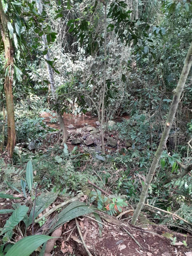 Vendo Espetacular Terreno De 978 M2 Junto À Natureza.