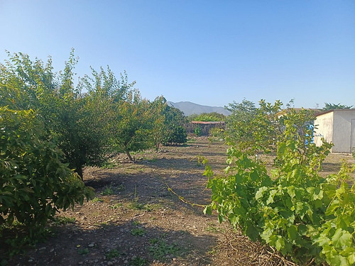 Vendemos Espectacular Parcela Con Casa En Quillota