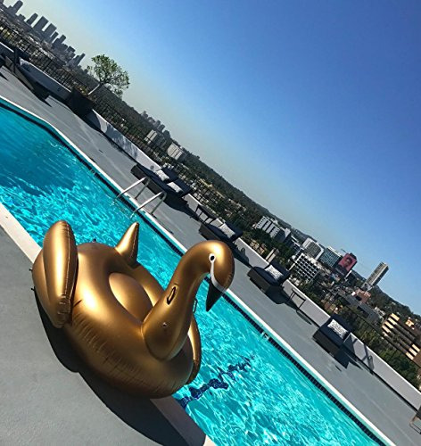 Paquete De 1 Inflable Piscina Jasonwell Gold Swan