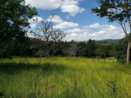 Terreno De Condomínio, Vertentes Do Mamonal, Pirassununga - R$ 249 Mil, Cod: 10131937 - V10131937