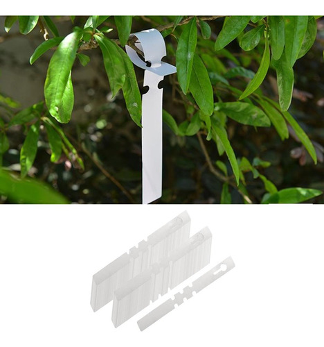 3 X 3x100 Etiquetas De Plástico Para Jardín, 3 Piezas