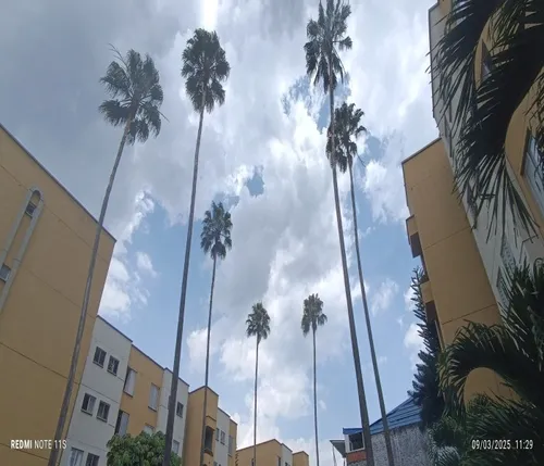 Sevende Apartamento En Colseguros