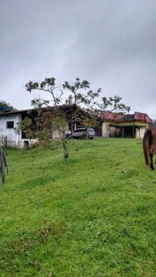 Imagem 14 de 14 de Sítio Em Pedro De Toledo-centro 4dorm Fácil Localização 3634