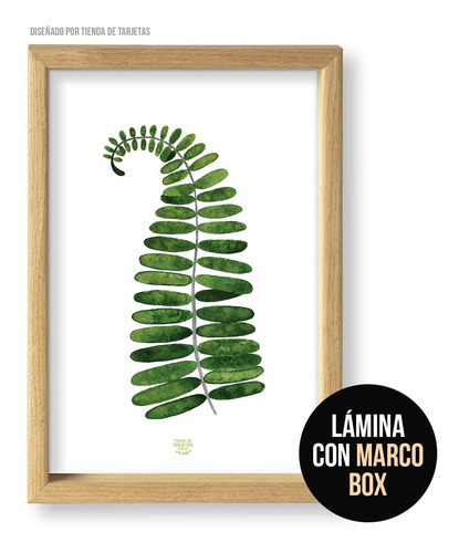 Imagen 8 de 10 de Set De 3 Cuadros (3 A4) Diseños Tropicales A Elección