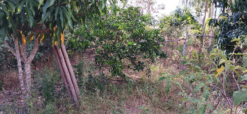 Lote Na Corumba4 5000 Mts Com Casa 3 Quartos 2 Banheiros Sal
