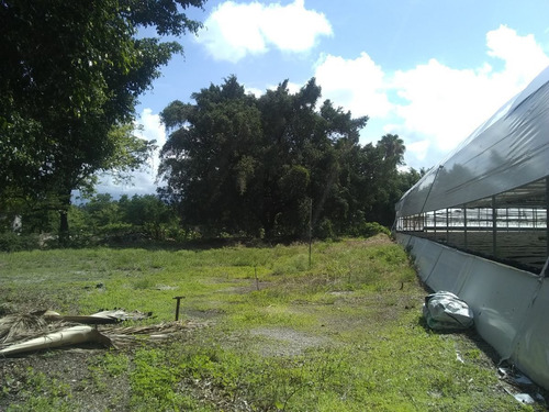 Imagen 8 de 8 de Amplio Terreno