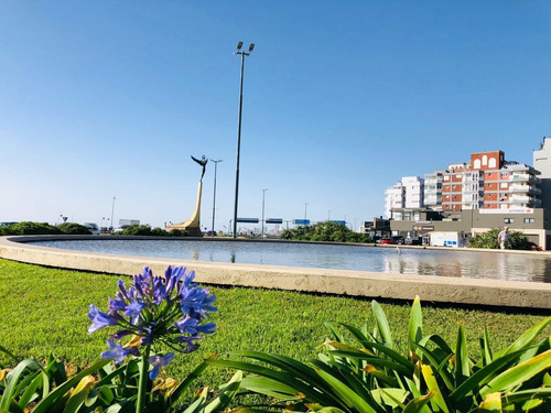 Imagen 11 de 14 de Alquiler - Espectacular Lote De 485m2 Sobre Av. Constitución