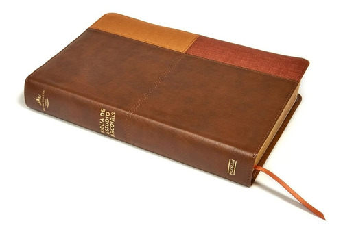 Biblia De Estudio Arcoiris Rvr1960 Imitación Piel Multicolor