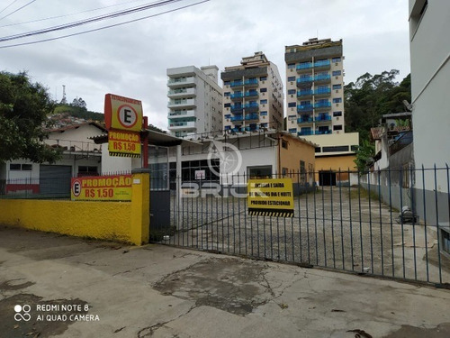 Imagem 4 de 4 de Terreno Para Locação No Centro Da Cidade Com 2012 M² - Te00378 - 69035246