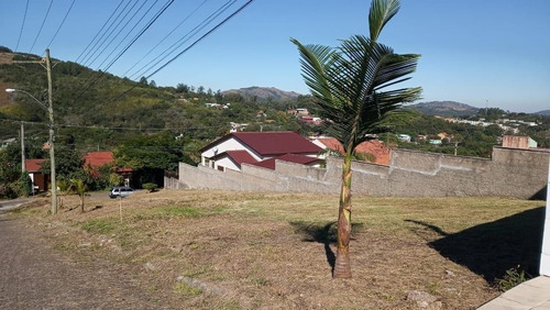 Terreno À Venda, 757 M² Por R$ 350.000,00 - Vila Nova - Porto Alegre/rs - Te0720