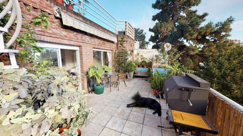 Imagen 17 de 27 de Especial Dos Ambientes En Duplex, Balcón Terraza, Con Jacuzzi Propio.