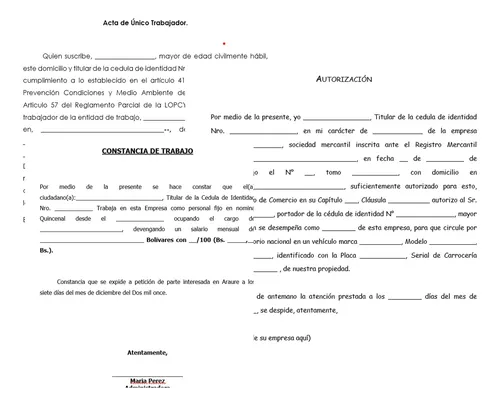 Formatos Administrativos