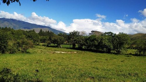 Imagen 14 de 14 de 165595 Katherine Castillo 0412-8567234 Venta Finca Carretera Aguirre