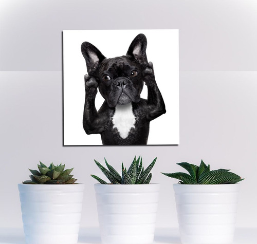 Vinilo Decorativo 60x60cm Bulldog Pet Shop Patas Perro