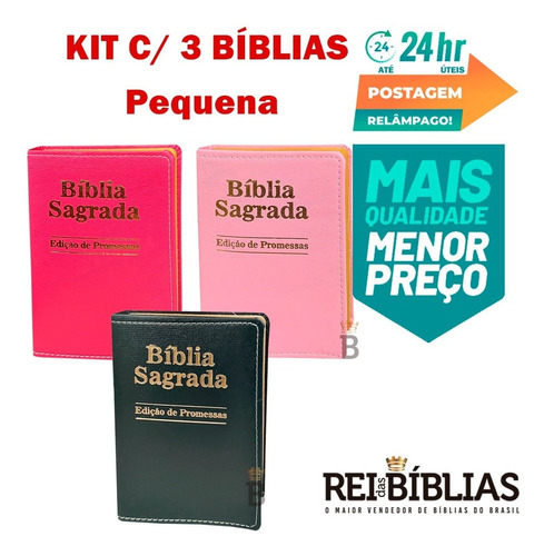 Kit 3 Bíblias Sagrada Pequena Luxo - Edição De Promessas