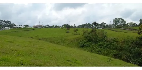 Venta Finca - Lote En Circasia - 6.2 Cuadras