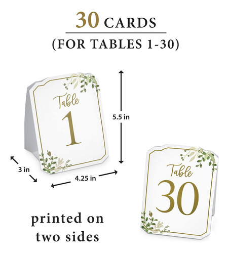 Lillian Rose Botanical Greenery Número De Mesa Tarjetas Tarj
