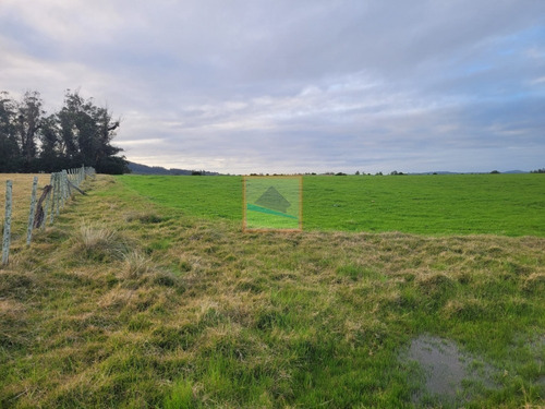 Imagen 2 de 26 de Campo De 34 Hás Con Casa Ruta 12 Pueblo Edén