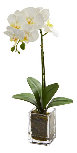 Casi Natural De 24 PuLG. Orquídea Phalaenopsis Jarrón Artifi