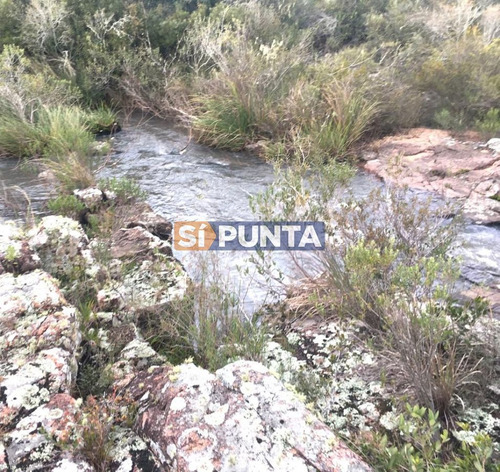 Imagen 2 de 8 de Campo En Venta, Paraje La Coronilla, Maldonado