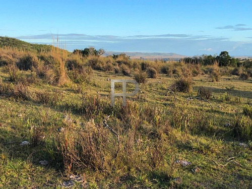 Imagen 8 de 12 de Campo En Venta Las Cañas 77 Hectáreas