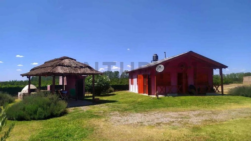 Imagen 3 de 19 de Campo Finca En Produccion Tunuyan Mendoza Valle De Uco