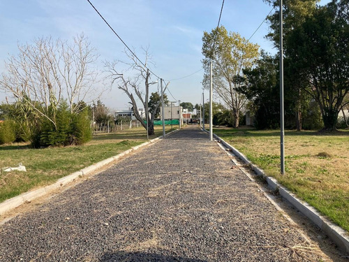 Imagen 2 de 7 de Terreno - La Plata
