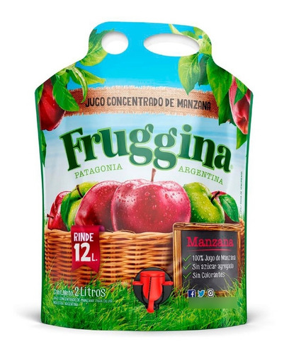 Jugo Concentrado De Manzana Fruggina. Pack 8 X 2 Lts