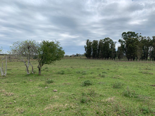 Chacra / Campo Recreativo Productivo Fracción: 5.5has