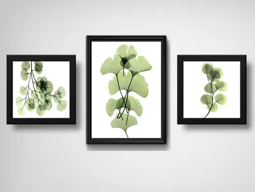 comprar Set 3 Cuadros Hojas Minimalista Eucalipto Arte Decoracion