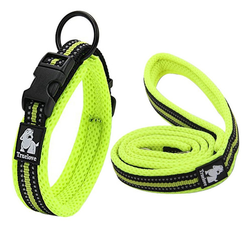 Conjunto De Correa De Entrenamiento Y Collar Para Perros De 