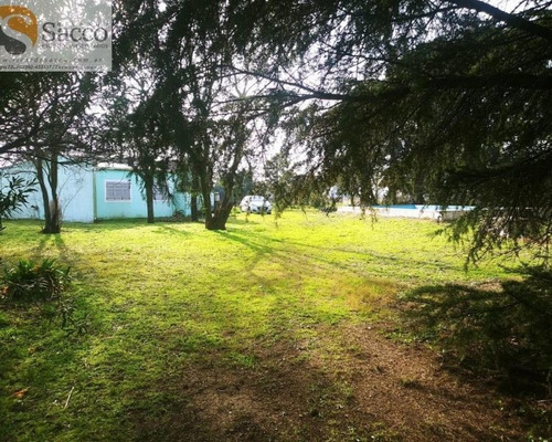 Casa Quinta Buena Forestación En Venta En #trenquelauquen