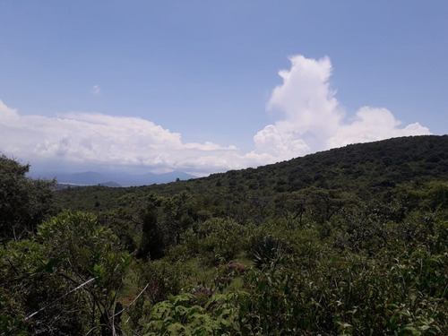 Imagen 5 de 7 de Terreno En Venta En Oponguio Con Vista Al Lago