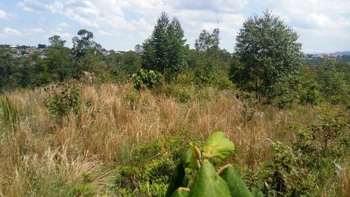 Imagem 25 de 30 de Terreno Botujuru Mogi Das Cruzes Sp Brasil - 87