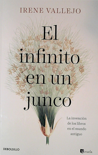 Libro: El Infinito En Un Junco / Irene Vallejo / Debolsillo