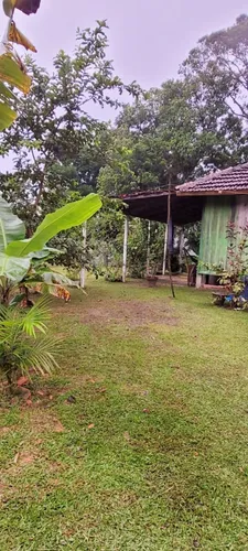 Vende-se A Casa Da Montanha - Antonina