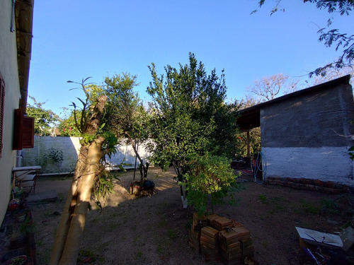Mini Sítio Com Ampla Casa